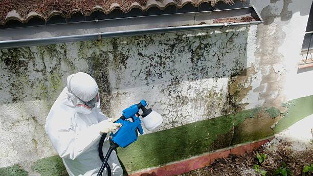 Trusted Commercial Mold Remediation service in Marco Island, FL - Cheap Mold Removal